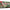 Pokémon TCG: Mega Venusaur ex Premium Collection